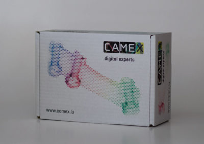 Camex